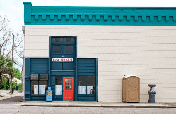 Best Wedding porta potty rental  in Flint, MI